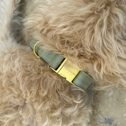 Collar Minimal - Olive