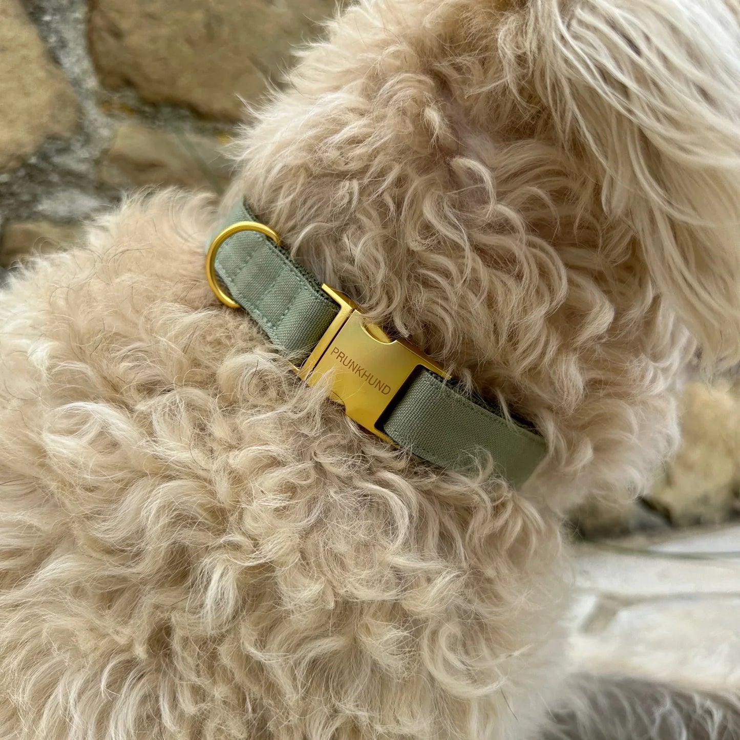 Collar Minimal - Olive