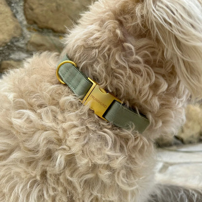 Collar Minimal - Olive