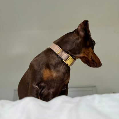 Collar Minimal - Tan