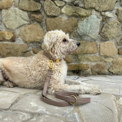 Collar Minimal - Tan