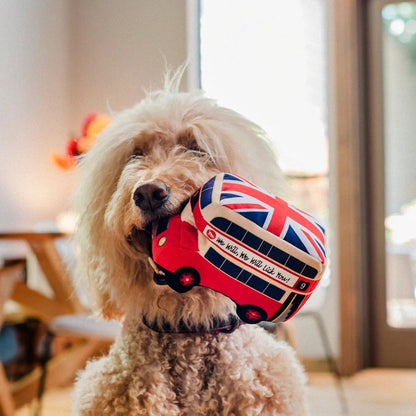 Canine Commute London Bus