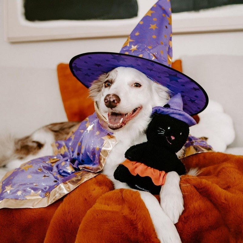 Cheeky Chumz - Witch Cat